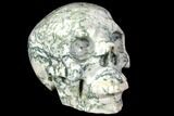 Realistic, Polished Tree Agate Skull #151195-1